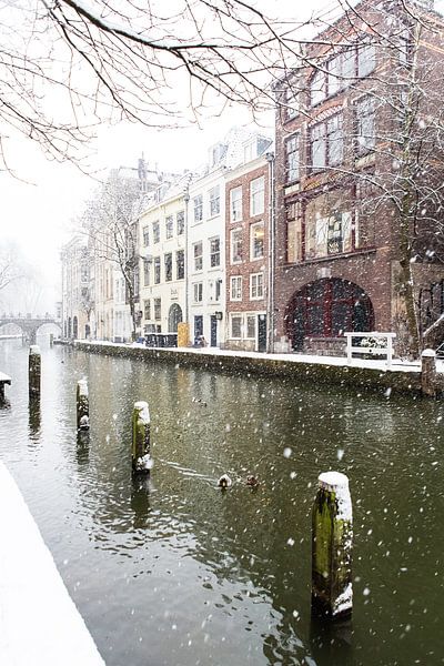 Winter in Utrecht. Besneeuwde dukdalven in de Oudegracht. van André Blom Fotografie Utrecht