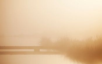 Ochtendmist met brug