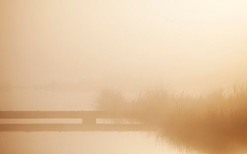 Morning fog with bridge