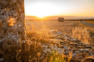 Intens warme zonsondergang op het platteland