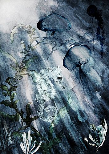 Seahorse with jellyfish