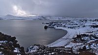 Winterstrand bij Kleifarvatn van Timon Schneider thumbnail
