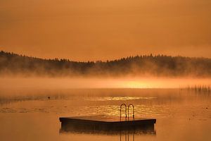Schwimminsel in einem schwedischen See