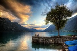 Vissen in het Brienzermeer  von Dennis van de Water