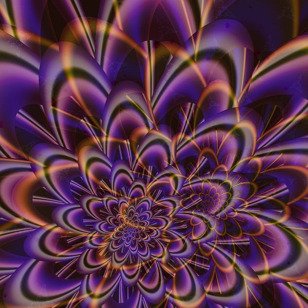 flower 11 by Claudia Gründler