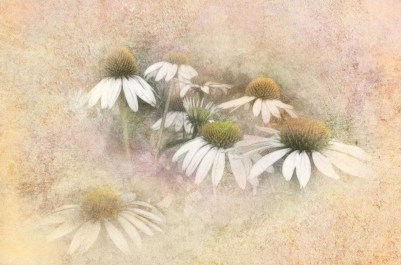 Sommer Sonnenhut in Pastell von Claudia Gründler