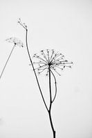 Less is more