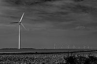 Familie der Windmühlen