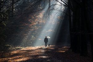 winter wandeling