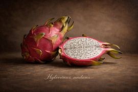 Dragon fruit in a classic still life by Bert Quaedvlieg