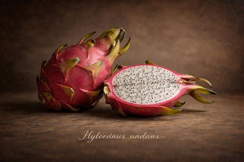 Drakenfruit in Klassiek Stilleven