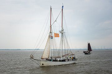 Johanna Saturna DelfSail 2024 by Jan Georg Meijer
