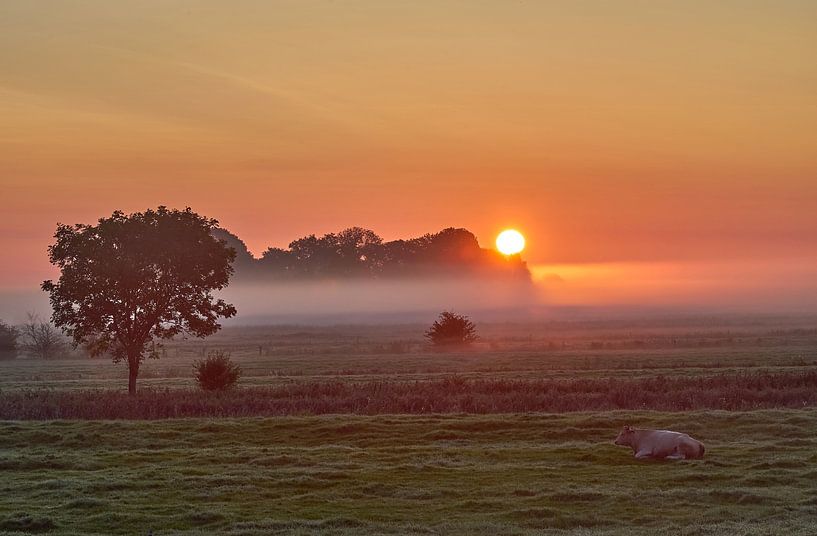 Matin d'automne sur la péninsule d'Eiderstedt,Frise du Nord,Mer du Nord,Allemagne par Peter Eckert