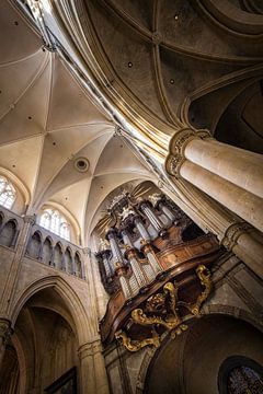 Organ Basilica in Tongeren by Rob Boon