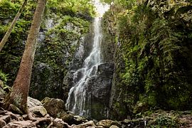 Burgbach waterval Zwarte Woud van Thomas Marx