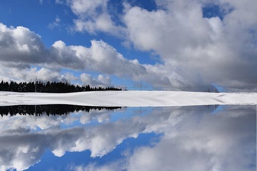 Een veld in het voorjaar onder een bewolkte hemel