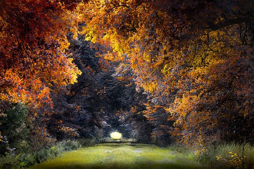 Beaucoup de couleurs I