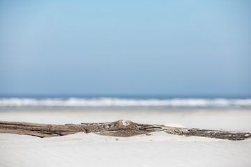 Drijfhout op Schiermonnikoog van Ron van der Stappen