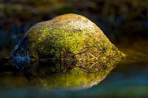 reflection
