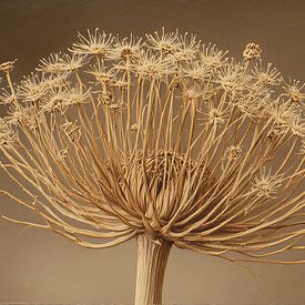A still life of a bear claw on light dark brown background. by J.a Dijkstra