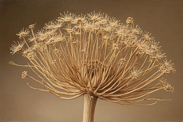 A still life of a bear claw on light dark brown background.