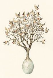 Vol de printemps sur Marieke Nelissen