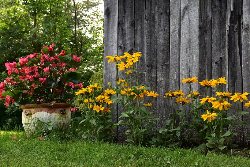 Flowers in the garden by Claude Laprise