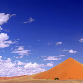 Dune dans le Namib - Namibie sur W. Woyke
