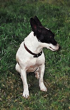 Peinzende Jack Russell van Dorothy Berry-Lound