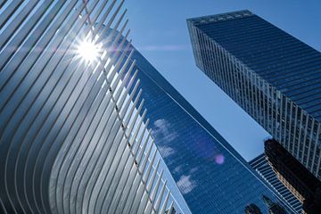 Lower Manhattan von Eddy Westdijk