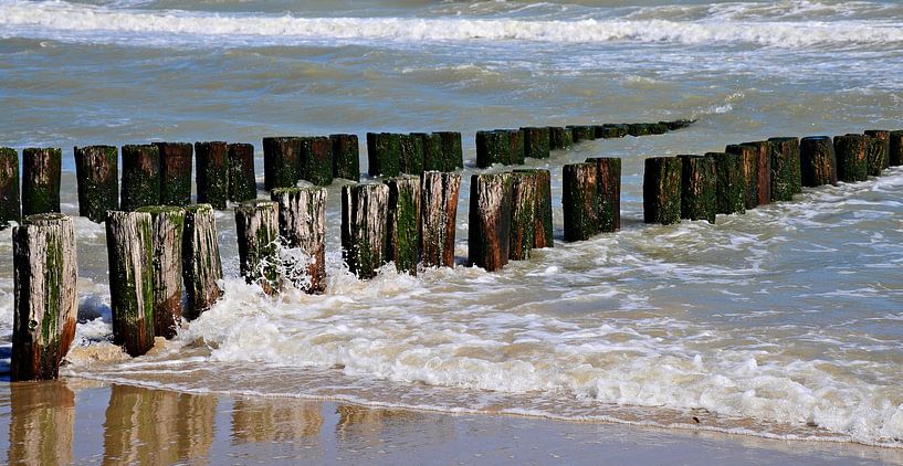 Wellen, Strandstangen und Muscheln Strand Domburg von Jessica Berendsen
