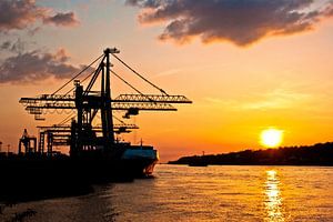 Containerkräne im Abendlicht