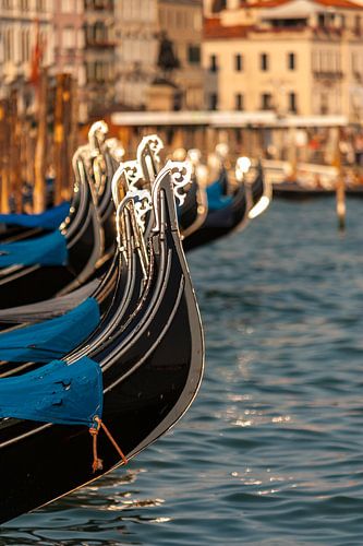 Gondolas in Venice