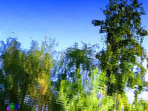 Urban Reflections 139