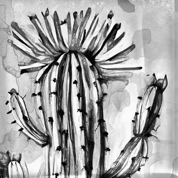 Flowering retro cactus in black and white by Anna Marie de Klerk