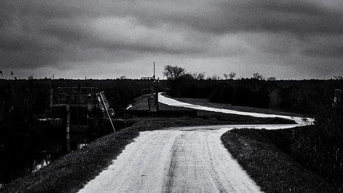 CAMARGUE MEDOCAINE # 01