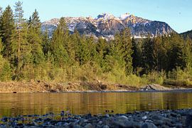 Mountains and forest lake in Austria by Emiel de Lange