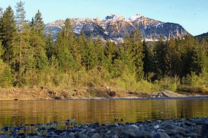 Berge und Waldsee in Österreich
