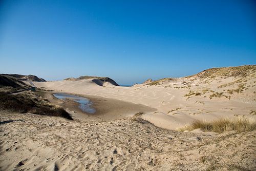 Nationaal park Zuid Kennemerland