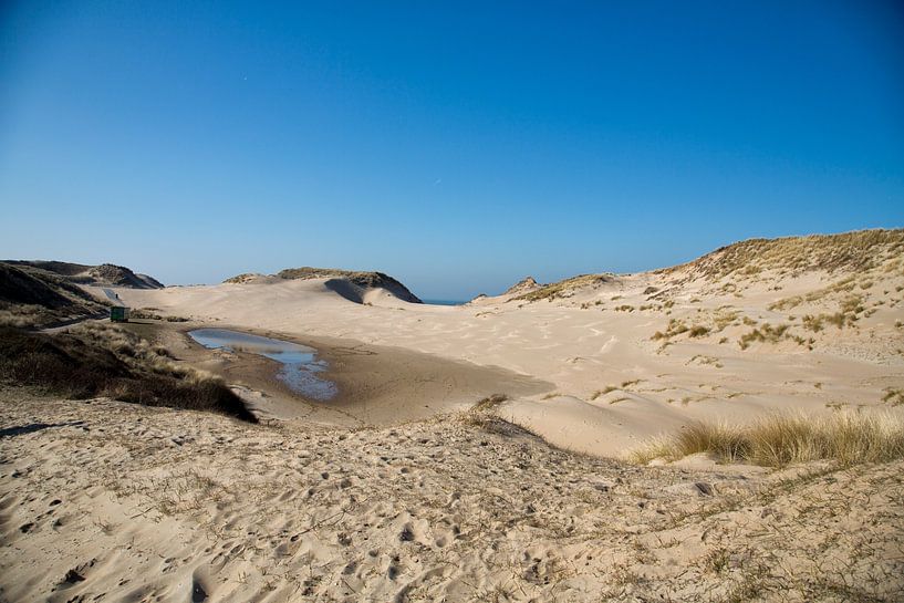 Nationaal park Zuid Kennemerland van Christine Vesters Fotografie