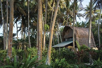 Tropisch droomhuisje in het paradijs omringd door hoge palmbomen in Bali van Marcus Photography