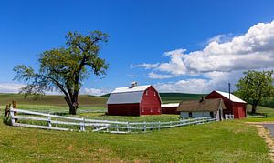 Ferme dans la région de Palouse, États-Unis