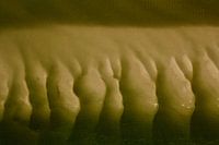 Mysterieus Wad (1)