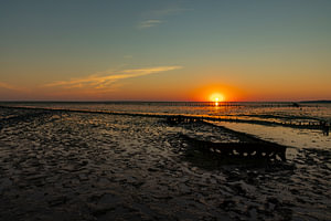 Waddenzee, Sonnenaufgang am Paesens Moddergat (Wierum Schiffswrack)