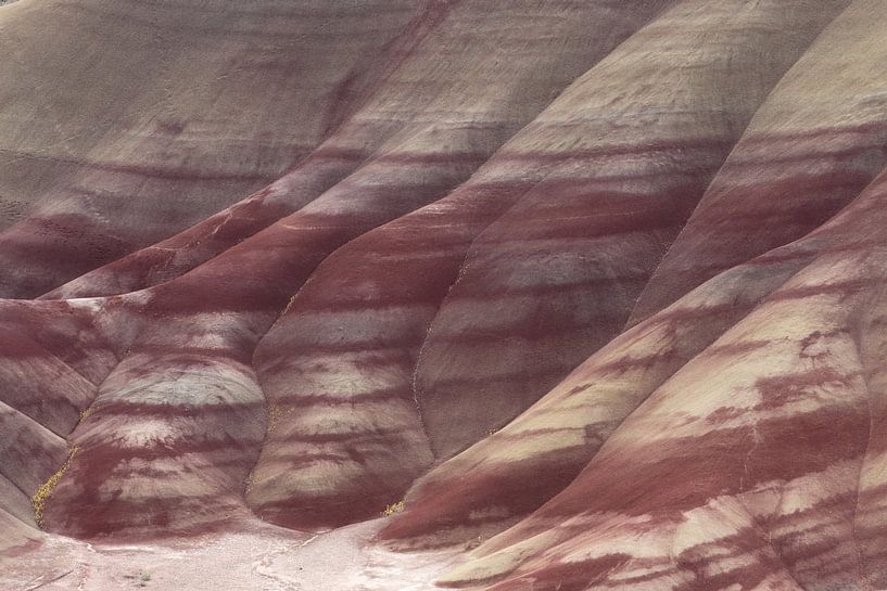 Painted Hills in the John Day Fossil Beds National Monument at Mitchell City, Wheeler County, Northe by Frank Fichtmüller