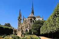 Kathedrale Notre-Dame de Paris von fotoping Miniaturansicht