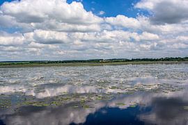 Bad Buchau . Le Federsee sur Photoart-Naegele
