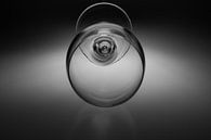 Image en noir et blanc d'un verre à vin avec un éclairage de fond doux par Kim Willems Aperçu