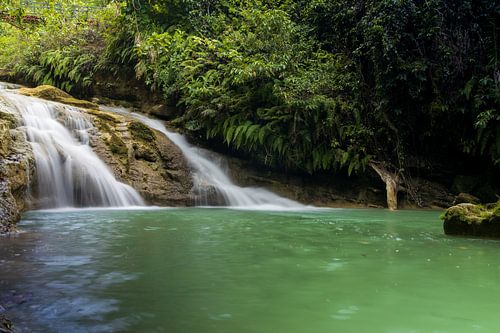 Paradis tropical