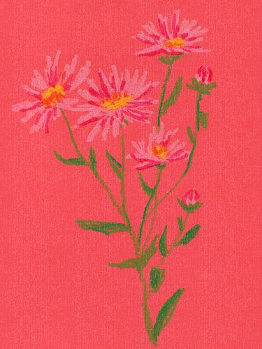 Kleurrijke vintage bloemen. Aster in roze, rood en groen.